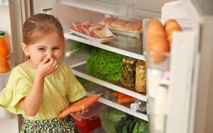 تفاوت مدت ماندگاری مواد غذایی در یخچال و فریزر